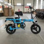 Aster Mini E-Bike – Stylish, Durable, and Eco-Friendly Electric Bicycle