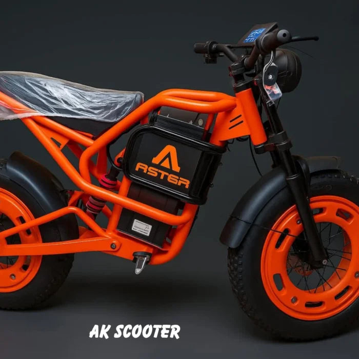 Aster X9 e-bike with LED lights and sturdy frame
