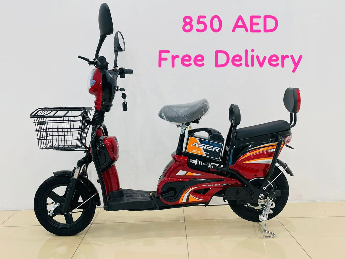 Aster Electric Bike – Best Electric Bike for Adults, Powerful and Smooth Ride