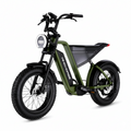 D3 Wind Horse Electric Cargo Bike – Powerful Electric Delivery Bike with Large Cargo Space