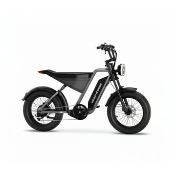 D3 Wind Horse Electric Cargo Bike – Heavy Duty Electric Cargo Bike for Delivery Use