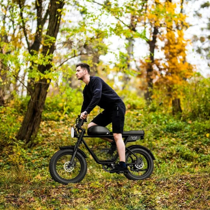 D5 WH Electric Bike – Stylish, Durable, and Eco-Friendly Electric Bicycle