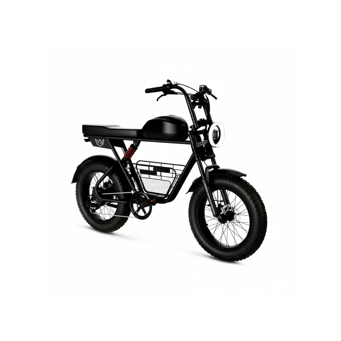 D5 WH Electric Bike – Stylish, Durable, and Eco-Friendly Electric Bicycle