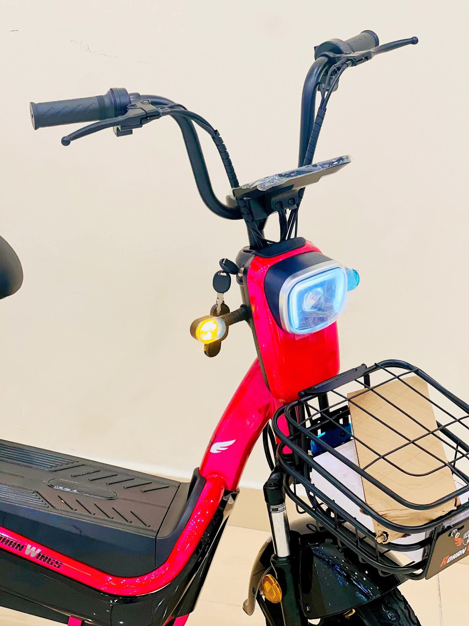 Stylish Rohan Wings KLL 04 e-bike built for daily commuting and comfort.