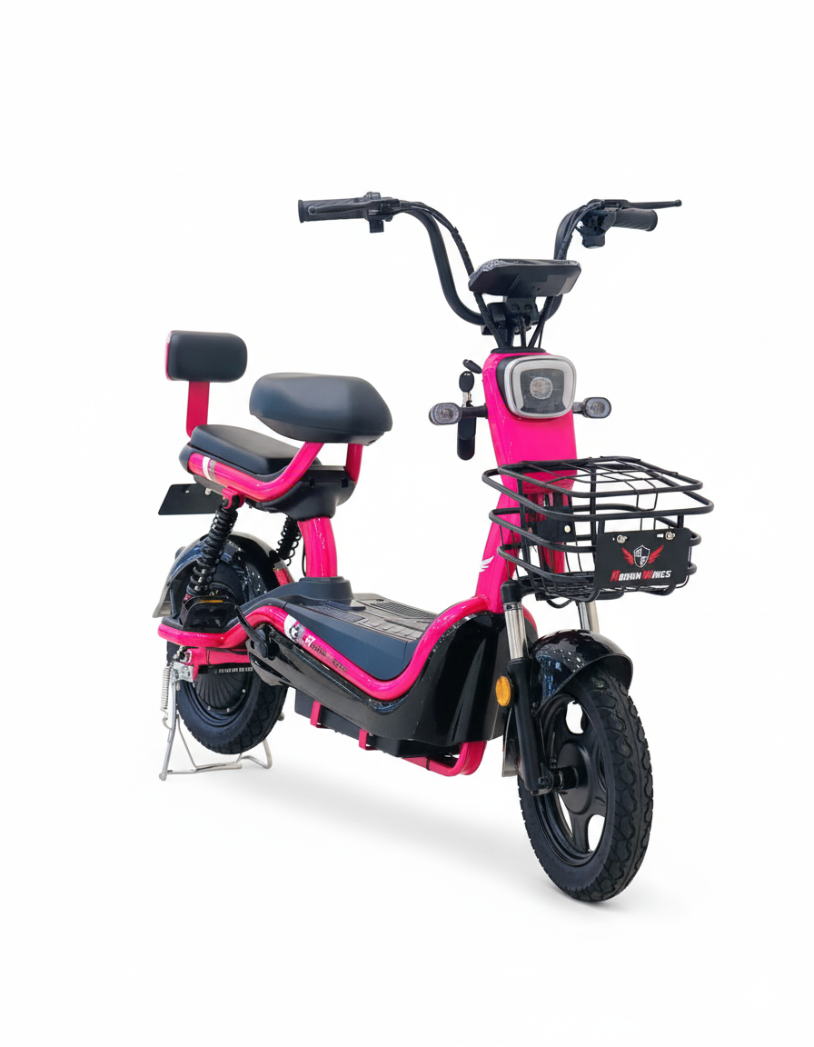 Rohan Wings KLL 04 electric bike with long-range battery and durable frame.