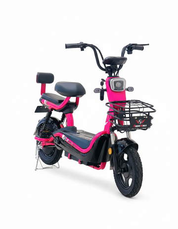 Rohan Wings KLL 04 electric bike with long-range battery and durable frame.
