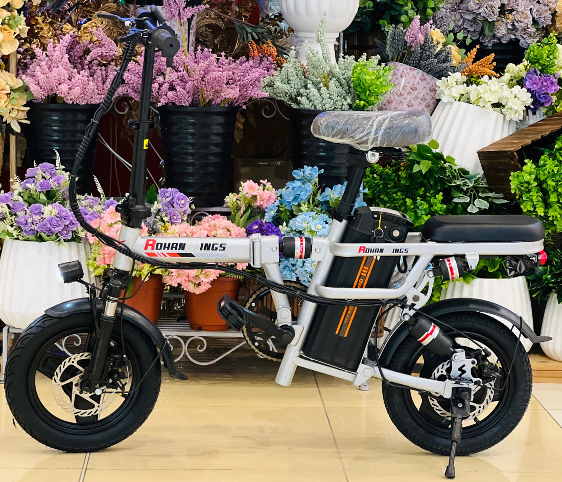 Rohan Wings KQ01 folding electric bike with a compact, lightweight design.