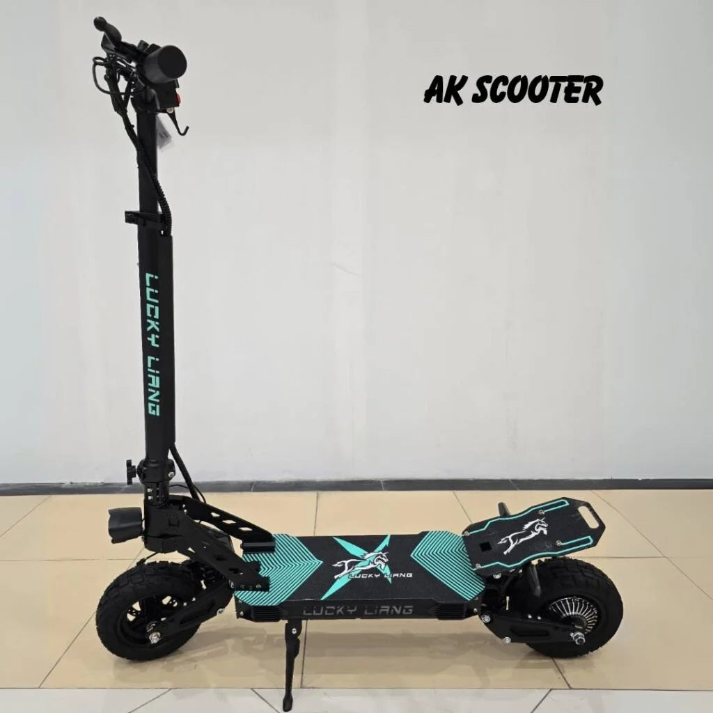 Lucky Land L2 e-scooter with LED display and solid tires