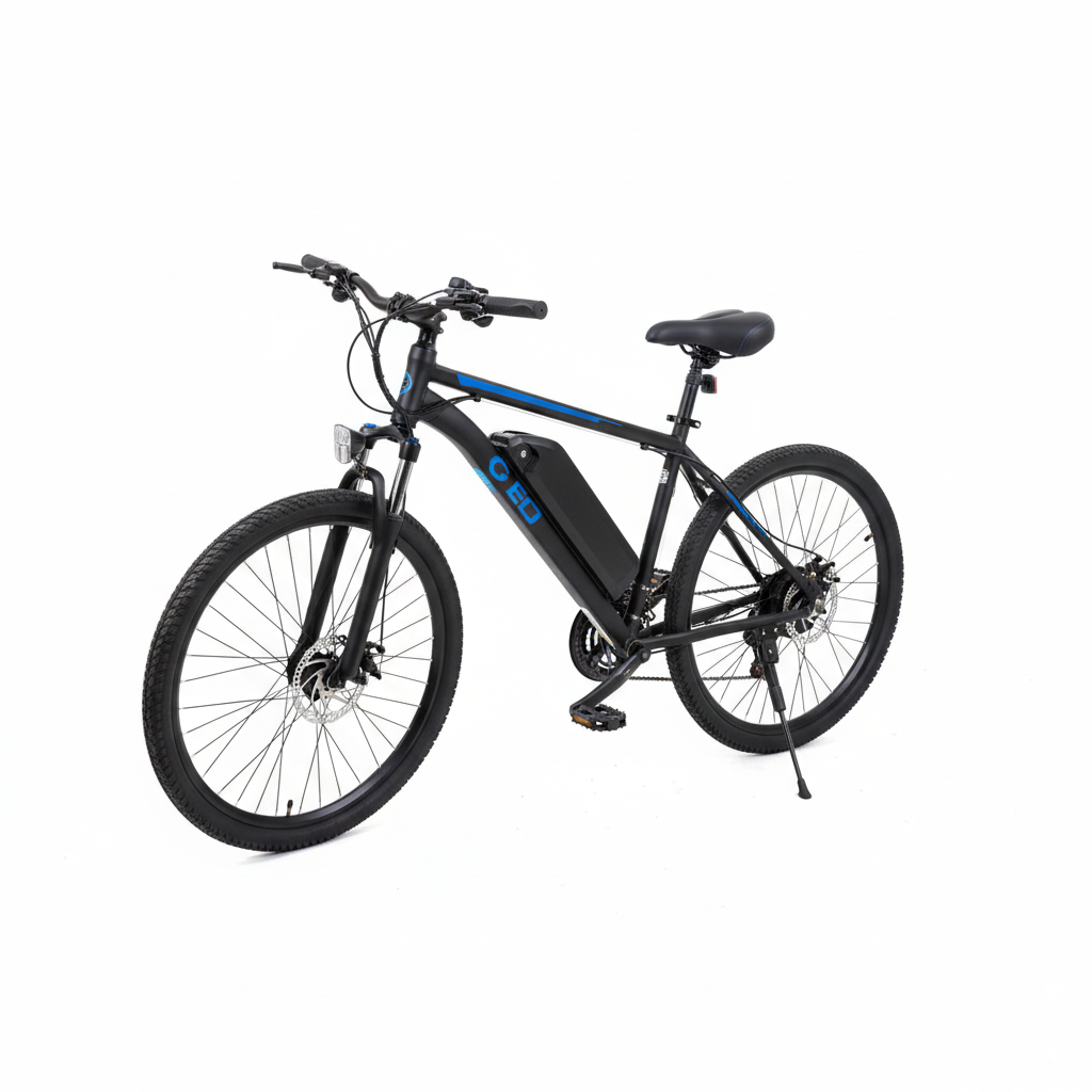 OTD DS1 Electric Bike – powerful and long-range ride