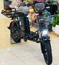 YLQ electric bicycle showcasing its modern design and durable construction.