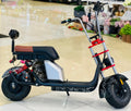 Rohan Wings M718 electric scooter bike featuring smooth ride, powerful motor and efficient daily commuting.