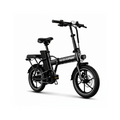 W2A WH Electric Cargo Bike – Heavy Duty Electric Cargo Bike for Delivery Use