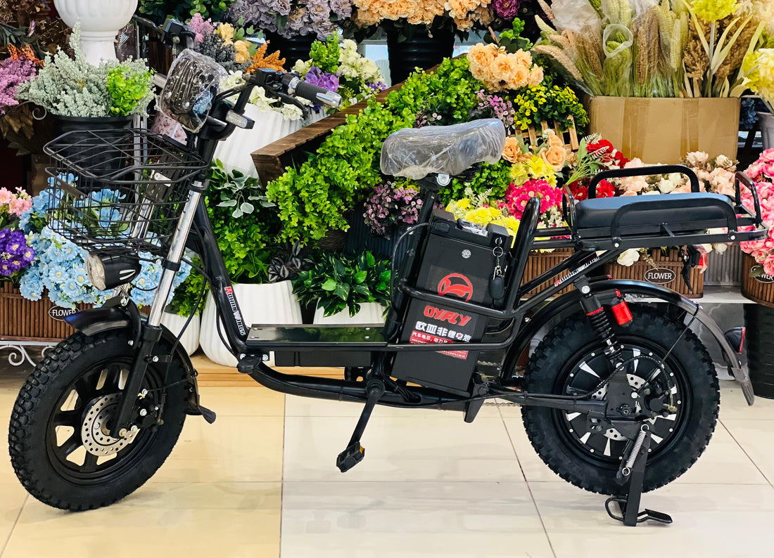 YLQ electric bicycle with a sleek, lightweight frame for city commuting.