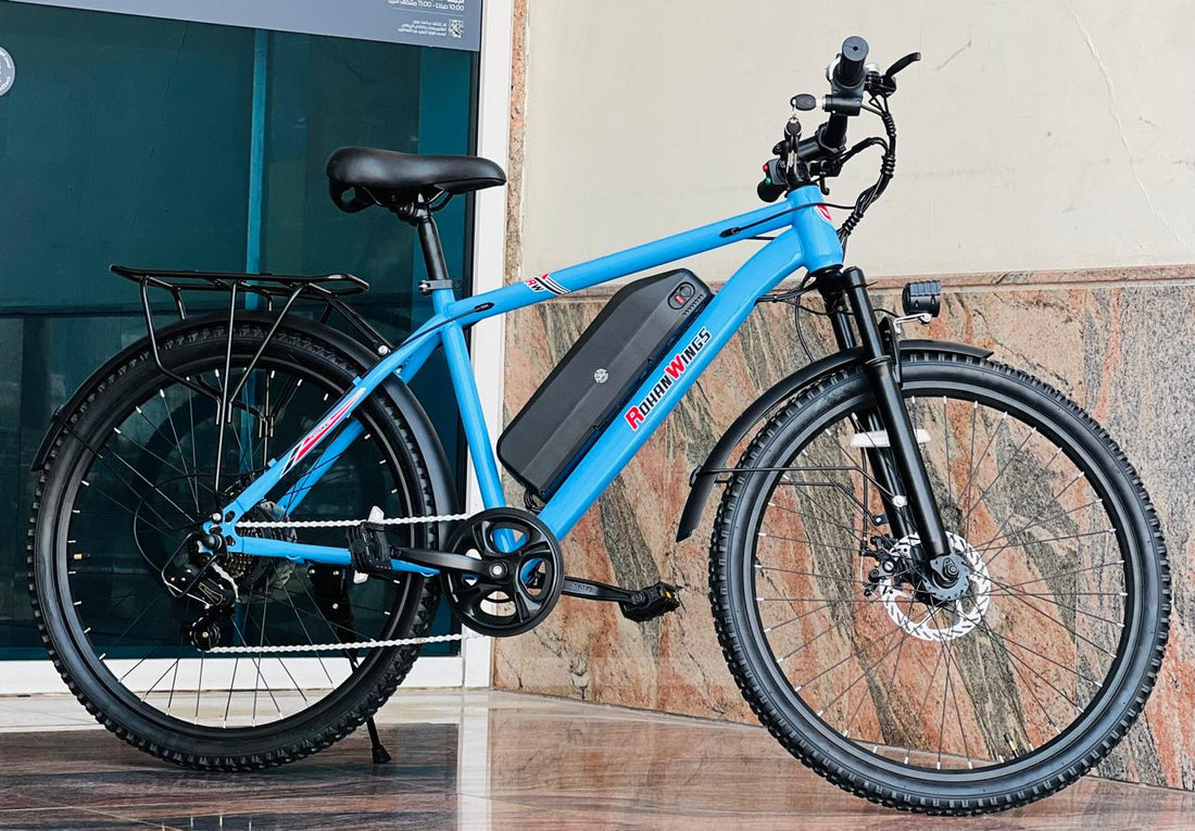 Rohan wings CT 2 Electric Scooter