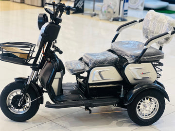 Rohan wing X7 electric 3 wheel