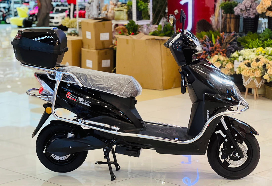RohaN Wings SL01 Electric scooter
