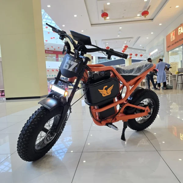 Aster Electric Scooter
