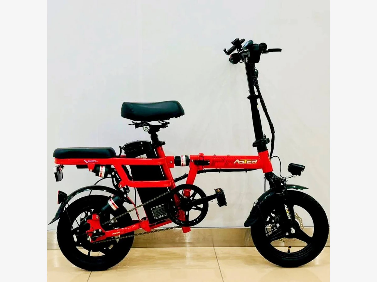 Aster electric bike - Image 3