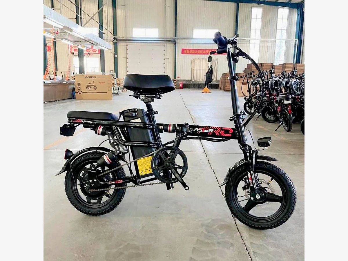 Aster electric bike