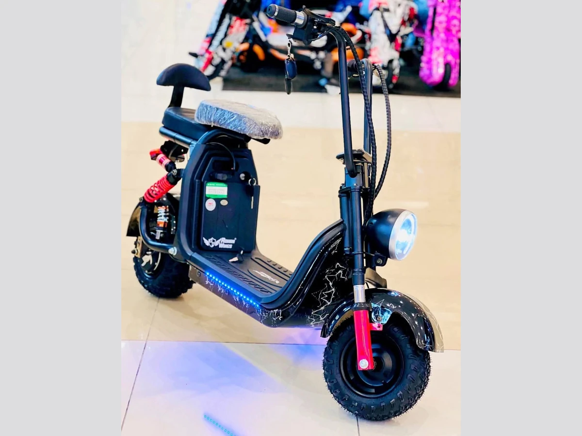 Aster M4 ELECTRIC SCOOTER