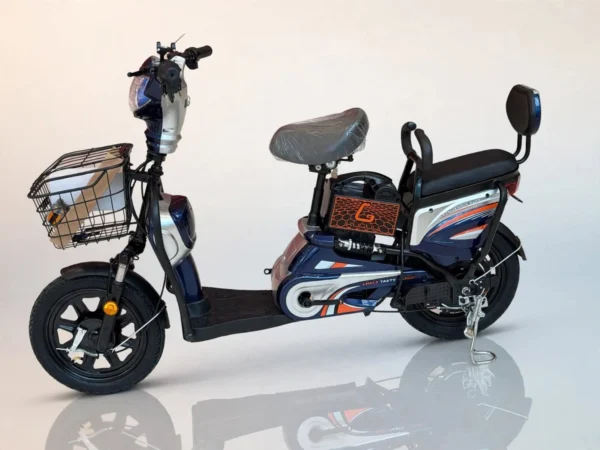 Electric Cargo Bikes