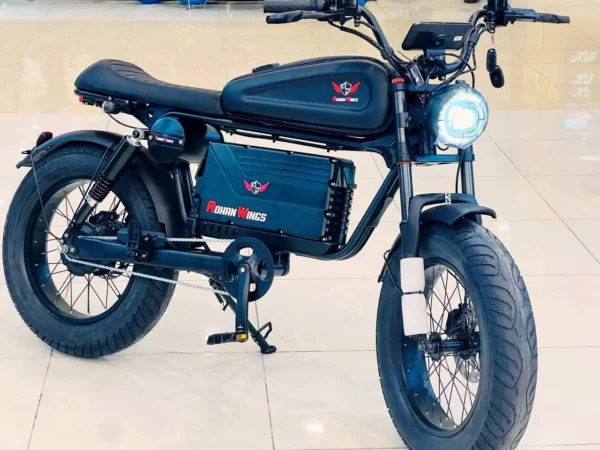 Rohanwing HL-20 ELECTRIC SCOOTER