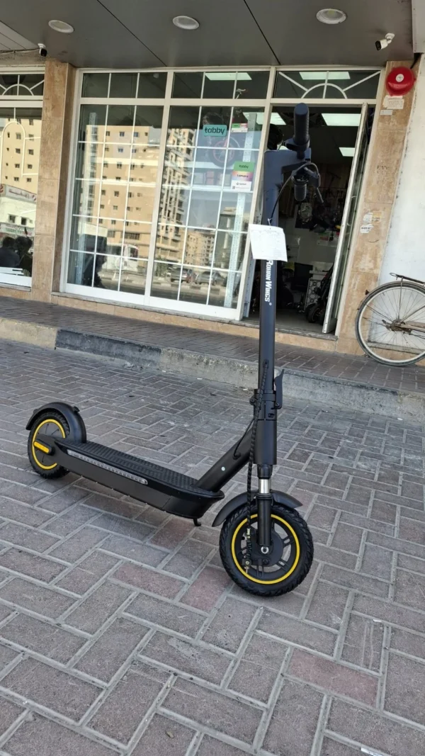 ROHAN WING  GMAX-01 Electric Scooter