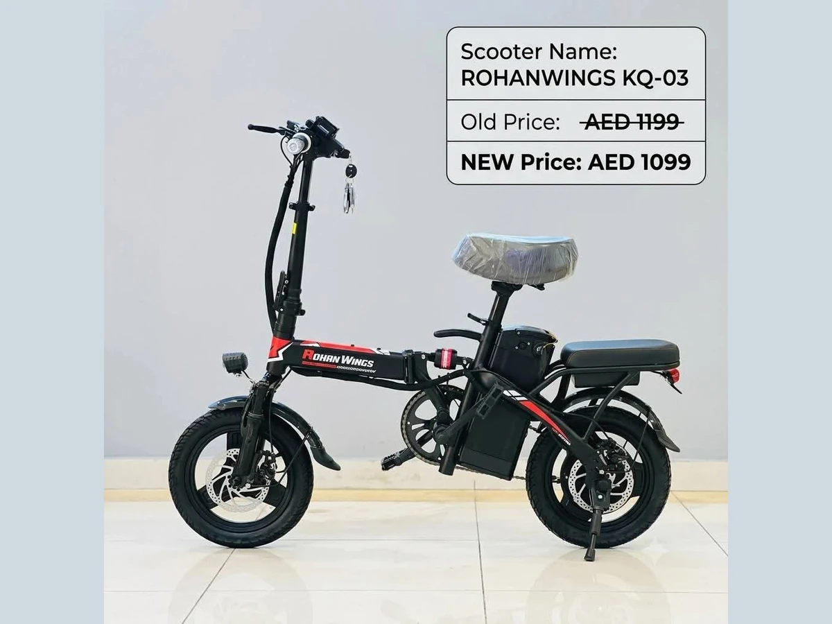 Rohan Wings KQ03 Electric Scooter