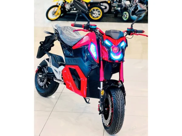 Rohan wings RS-2 Electric Bike